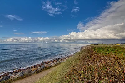 4 Personen Ferienhaus in Hjørring-By Traum