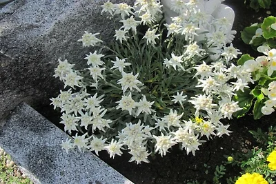 Appartamento per le vacanze con 1 camera da...