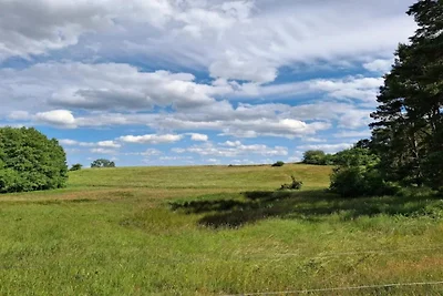 Wohnung in Lütow nahe Ostseestrand