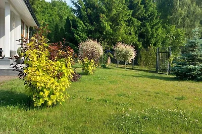 Ferienhaus nahe Ostsee & Golfplatz