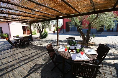 Bauernhaus in Montalto di Castro mit Terrasse