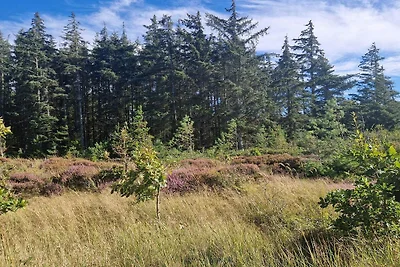 6 Personen Ferienhaus in Pandrup