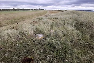 Strandrefugium in Lolland -- By Traum...