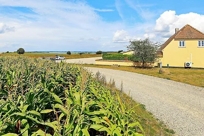 7 Personen Ferienhaus in Faaborg-By Traum