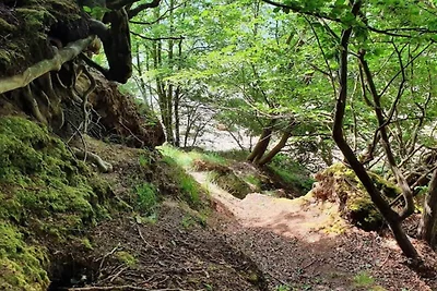 4 sterren vakantie huis in Hornsyld