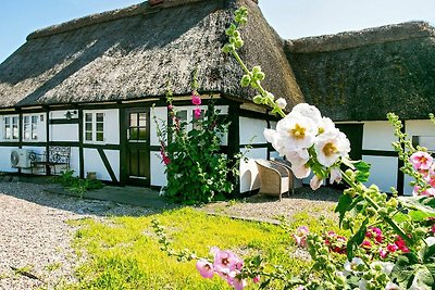 4 Personen Ferienhaus in Bagenkop