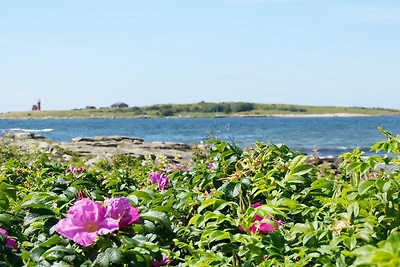 4 esrellas case en Halmstad