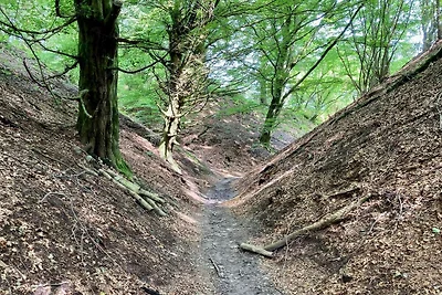 16 Personen Ferienhaus in Brovst-By Traum