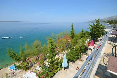 Adria Paradies by Marinko