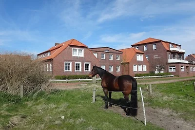 Sonnendeck im Haus Ferienglück