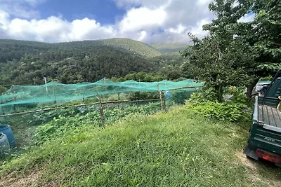 Ferienhaus mit 3 Schlafzimmer
