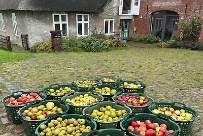 Tetenbüllspieker