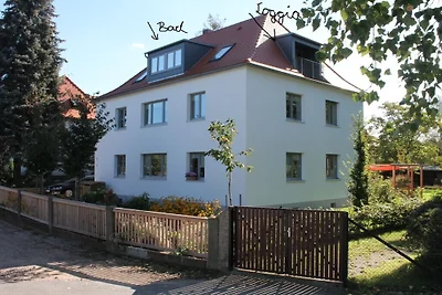 Lieblingswohnung im Elbtal