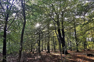6 persoons vakantie huis in Henne-By Traum