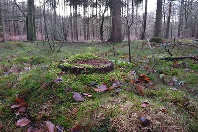 8 persone case ad Gjern