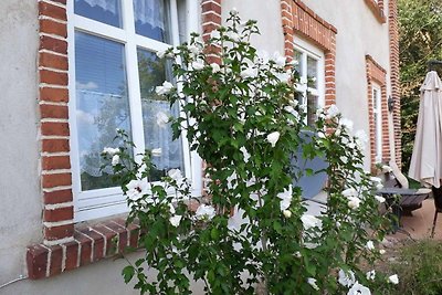 Ferienwohnung im Gutshaus Alt Krassow inmitte...