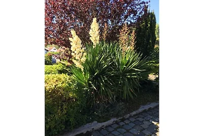 Dünenhaus Nordseewind