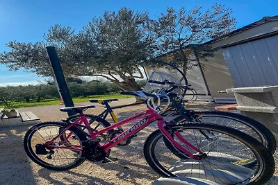 Olive Tree Neo & Lino - Two Bedroom Mobile Ho...