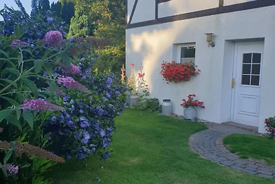 Modernes Ferienhaus mit Garten in Kägsdorf
