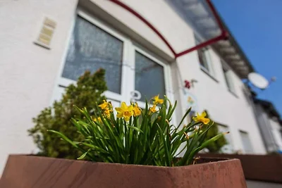 Lily, balkon en uitzicht op de Moezel