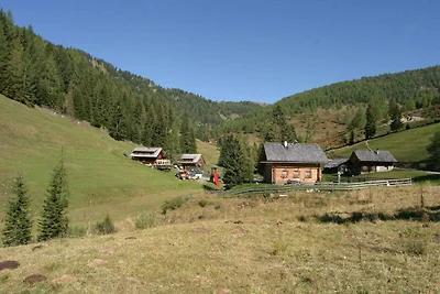Appartamento a Feld am See vicino piste