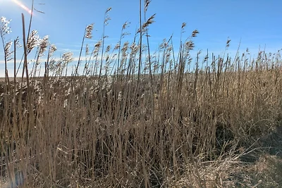 8 Personen Ferienhaus in Blåvand