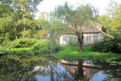 Große Gartenwohnung