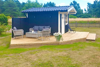4 Sterne Ferienhaus in Hagby