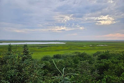 0 Persone case ad Hemmet