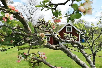 4 person holiday home in Holmsjö-By Traum