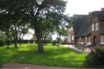 Ferienhaus in Wrixum mit Schwimmbecken