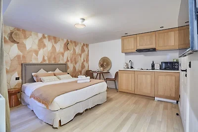 Charmante studio met airconditioning in het h...