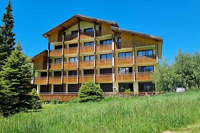 Comfortabel appartement in Les Deux Alpes