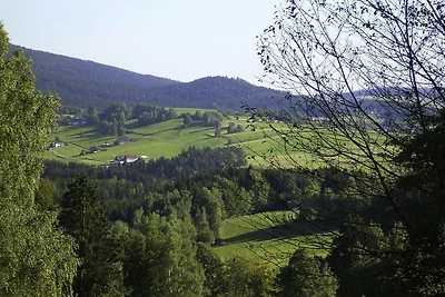 Casa vacanze Schneider, Rinchnach