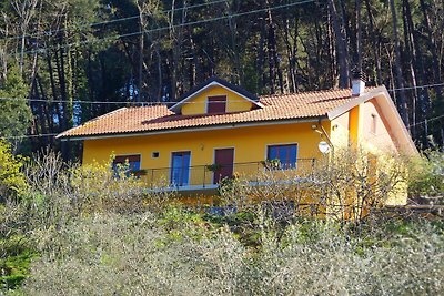 Modernes Ferienhaus in Pescia, Toskana mit...