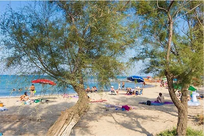 Prato inglese vicino alla spiaggia