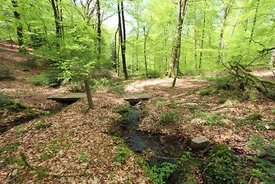 Gemütliches, geräumiges Ferienhaus,...