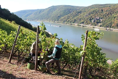 "Pinot Nero" presso la cantina Lamm Jung
