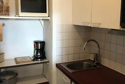 Wohnung in den Alpen mit Skizugang