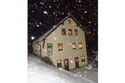 Ferienhaus mit 1 Schlafzimmer