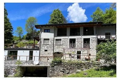 Paradiso Verde - Lucerola