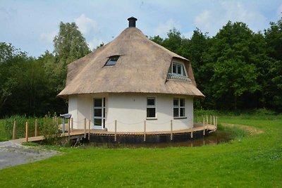 Casa vacanze unica a Noordwolde con giardino