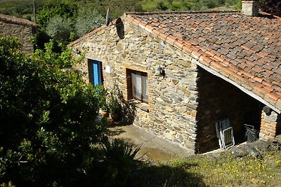 Acogedora casa rural en Valencia de Alcántara...