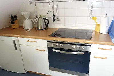 "Meeuw onder een rieten dak"