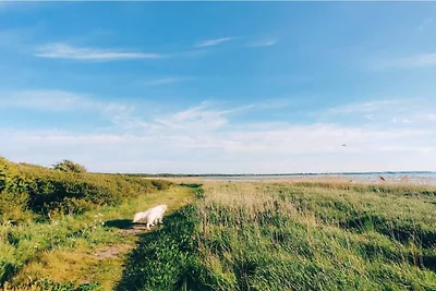 4 Personen Ferienhaus in Jægerspris-By Traum