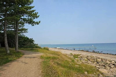 6 Personen Ferienhaus in Hornbæk-By Traum