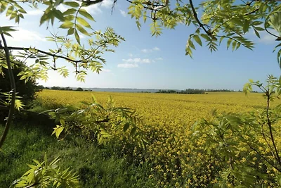 Seebad Altefähr