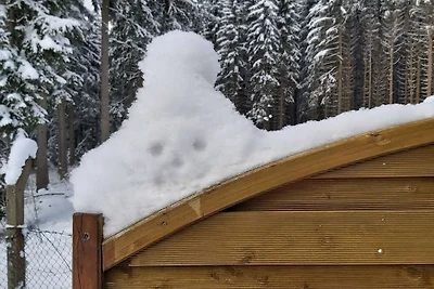 Au tremplin de saut à ski des monts...