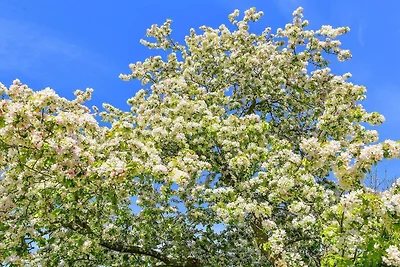6 Personen Ferienhaus in Sæby-By Traum