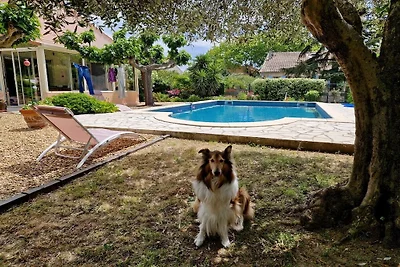 Villa "Lezard vert"